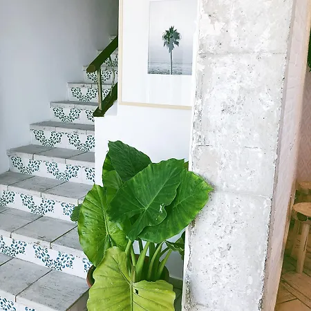 Duna Boutique מלון 2*