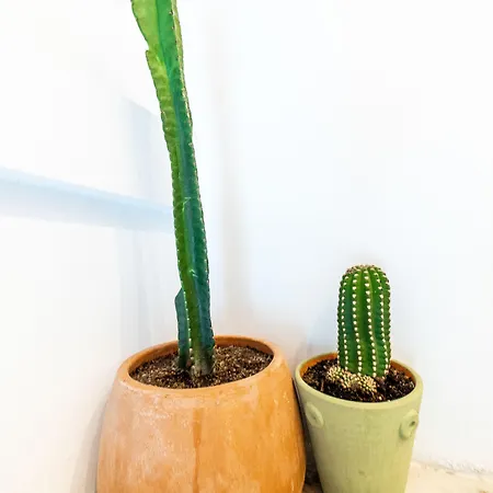 Duna Boutique Peñíscola