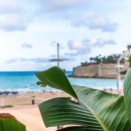 Duna Boutique Peñíscola